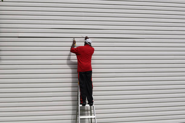 Best Siding Painting and Refinishing  in Elkton, VA